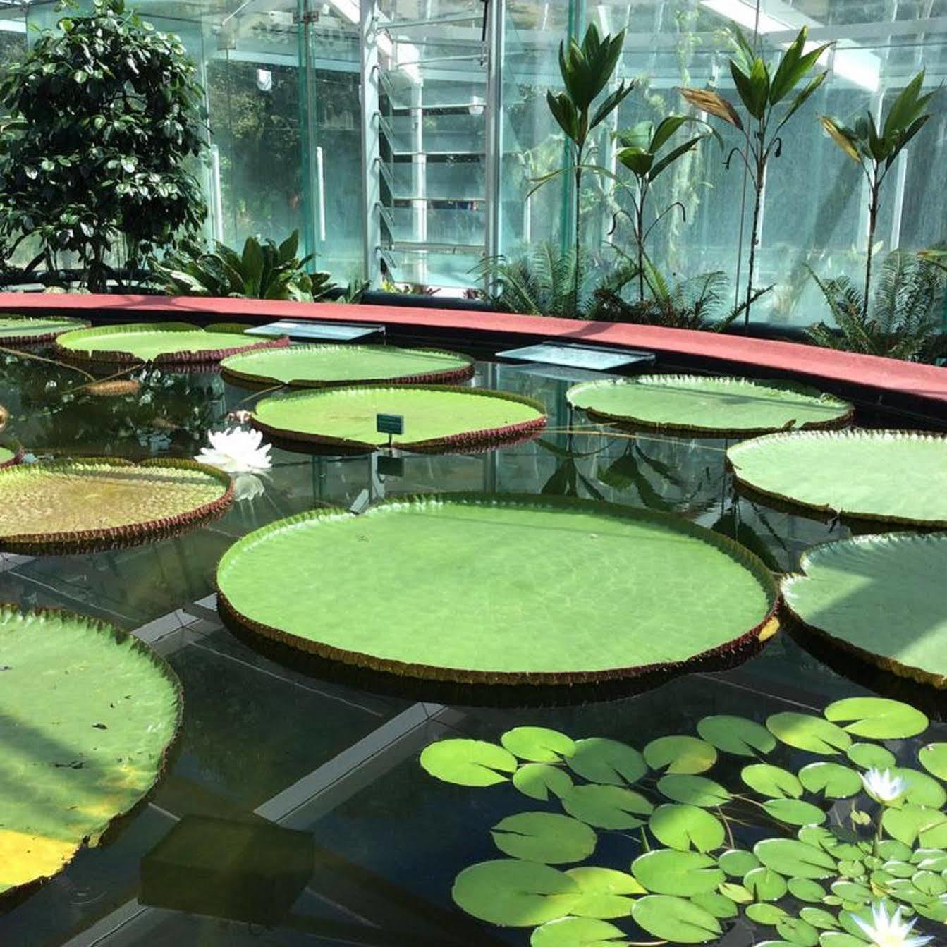 Majestic Minima Hotel Adelaide Bagian luar foto